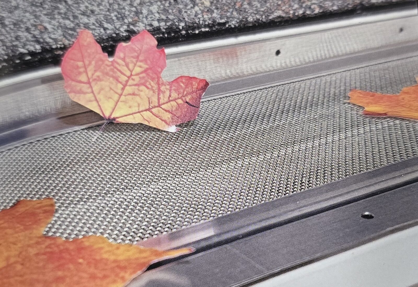 Close-up of a perforated metal leaf guard fitted over a white seamless gutter